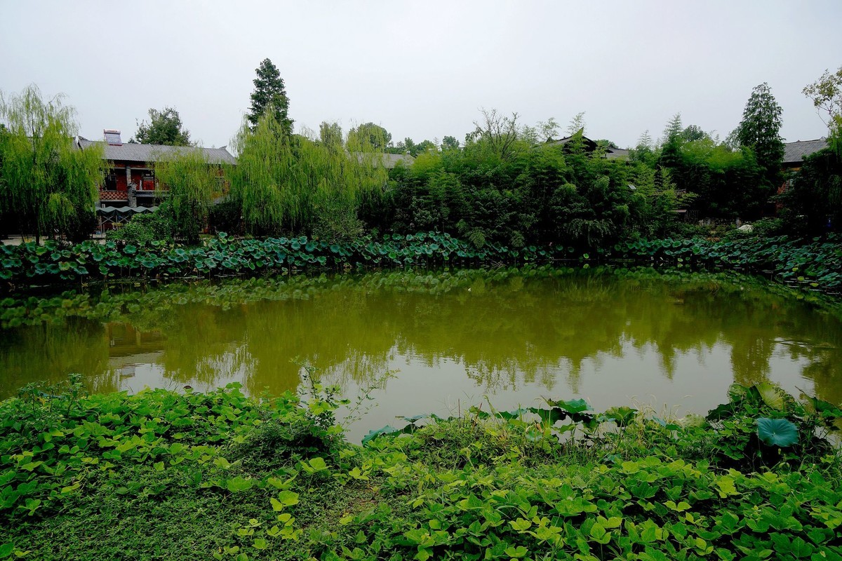 武汉印象---江夏小朱湾：隐匿在武汉南郊的最美村落！-续（一）。。