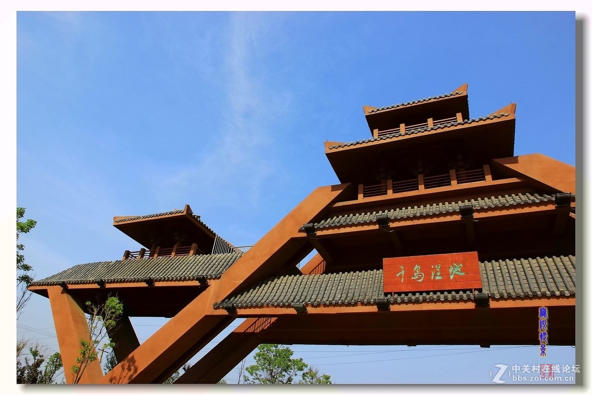 去沛县微山湖千岛湿地