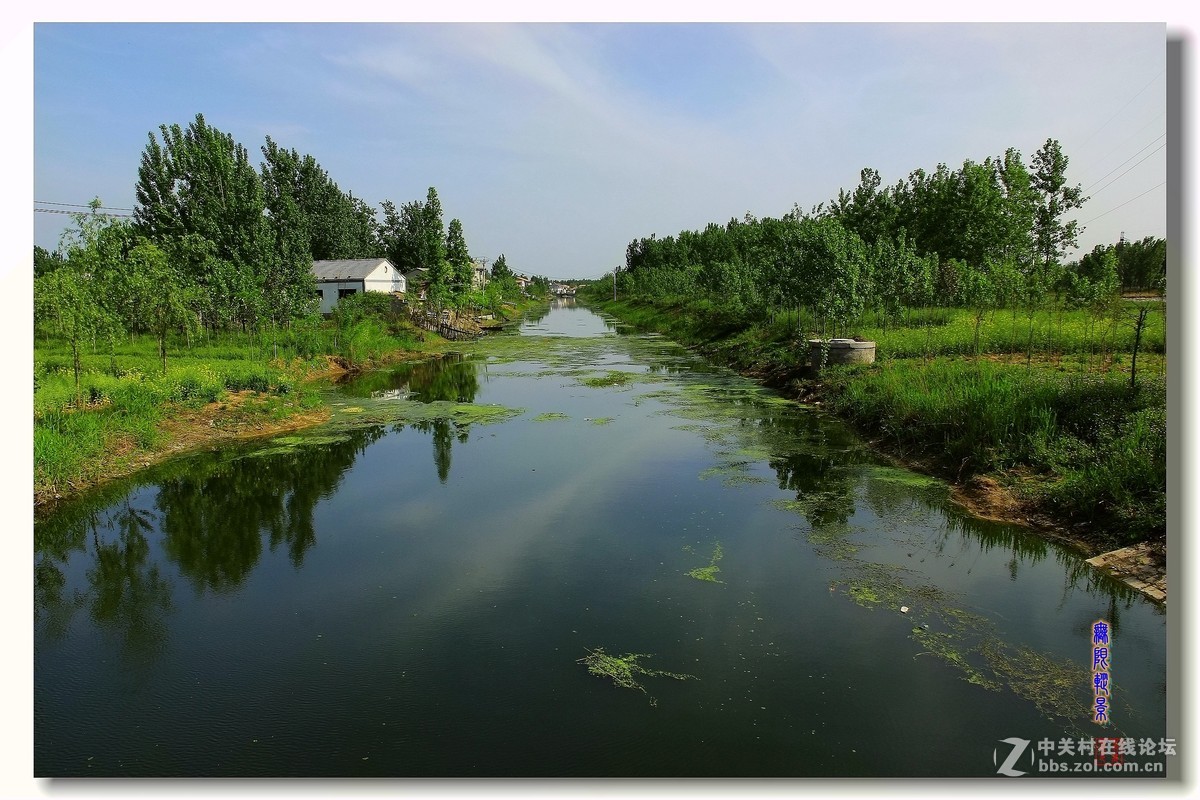 去沛县微山湖千岛湿地