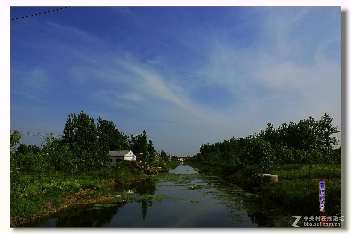 去沛县微山湖千岛湿地