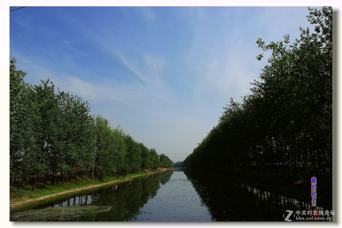 去沛县微山湖千岛湿地