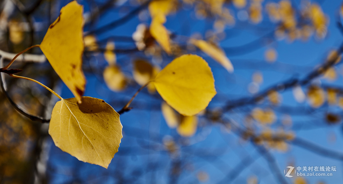 2016 大兴安岭-修心之旅