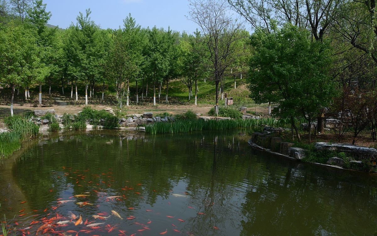 北宫森林公园 ------风  景