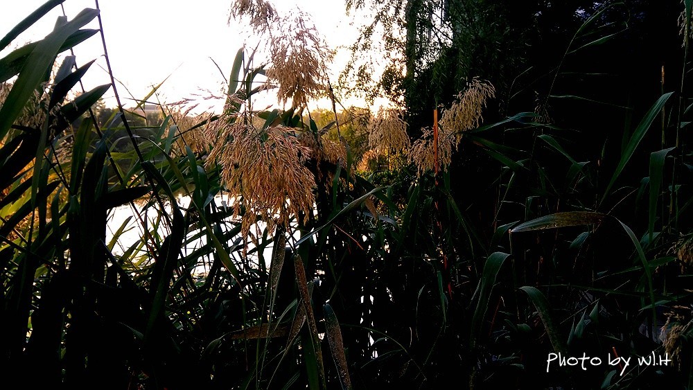 今天是你的生日，我的中国
