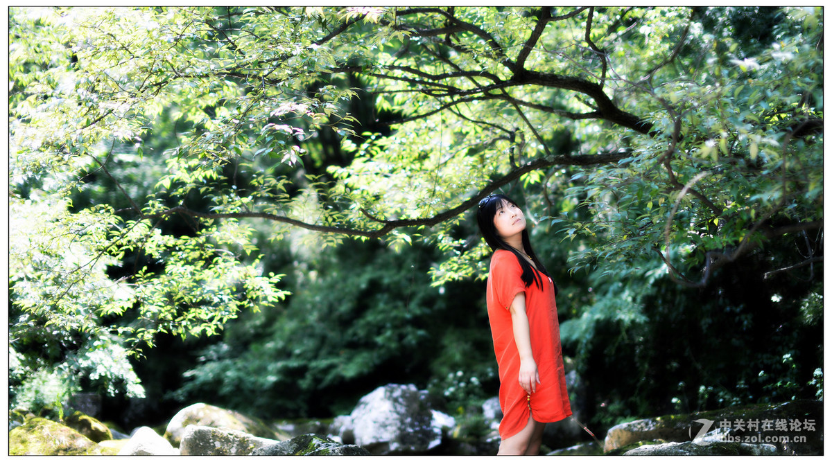 再发适马50F1.4人像