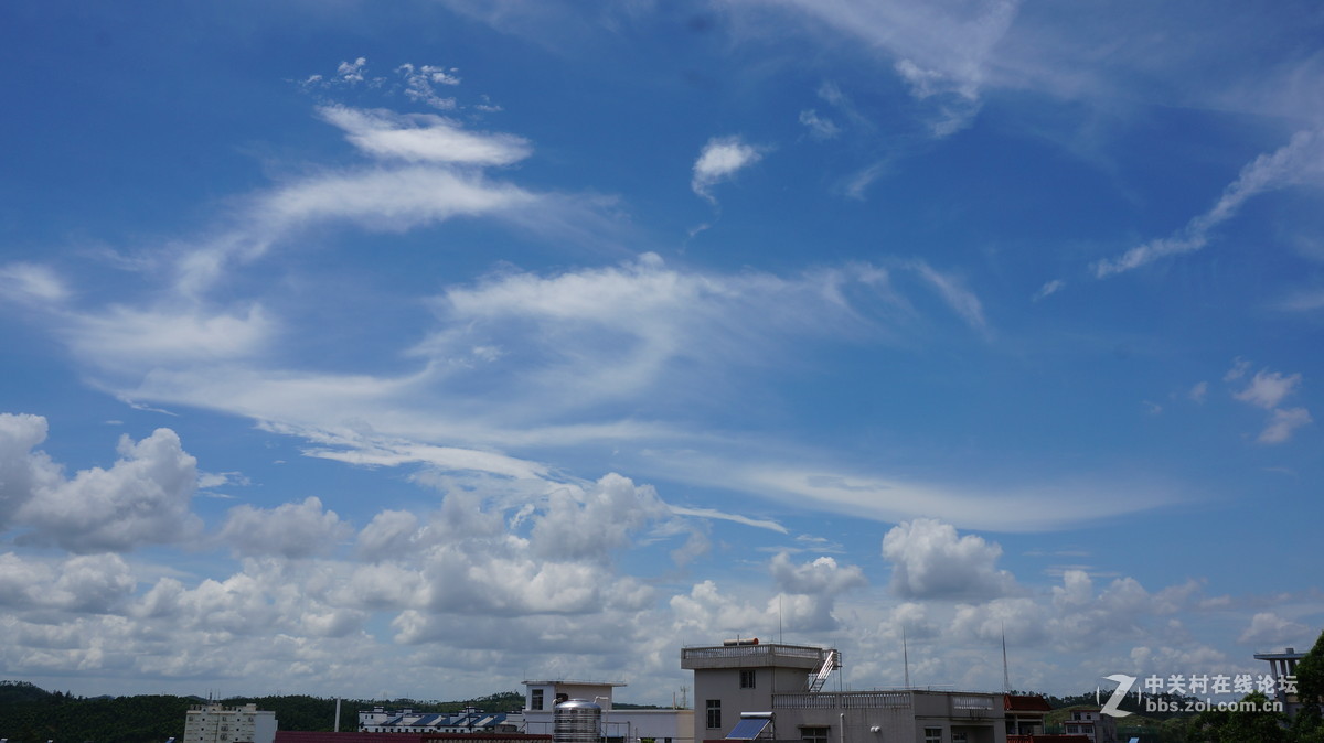 很久没来了......