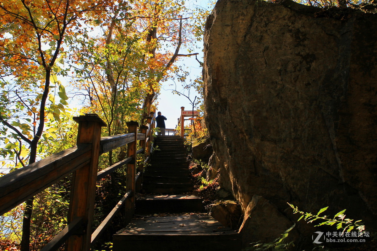 哈爾濱公園遊拍金龍山國家森林公園吊水湖景區秋色續