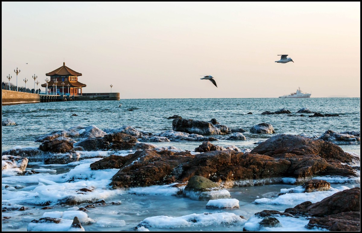 拍海鸥，知冷暖.....