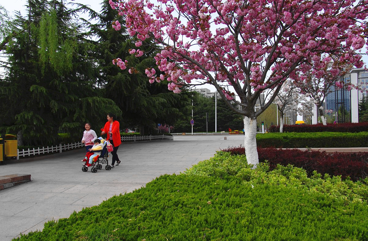 『美好时光-续』贺皓月长弓师友荣任侨乡版主