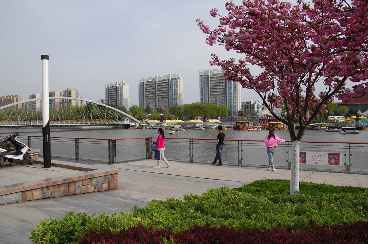 『美好时光-续』贺皓月长弓师友荣任侨乡版主