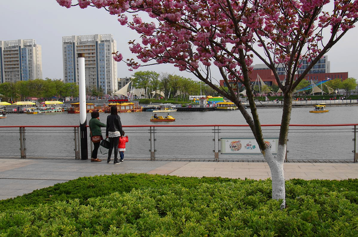 『美好时光-续』贺皓月长弓师友荣任侨乡版主