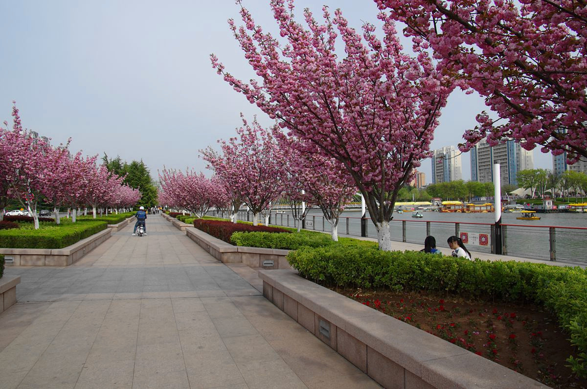 『美好时光-续』贺皓月长弓师友荣任侨乡版主