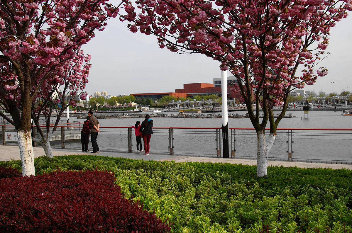 『美好时光-续』贺皓月长弓师友荣任侨乡版主