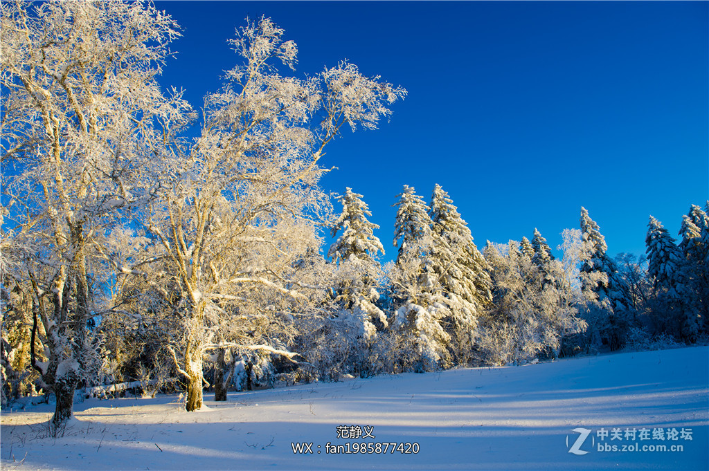 冬季來長白山雪嶺欣賞純自然的原生態景觀