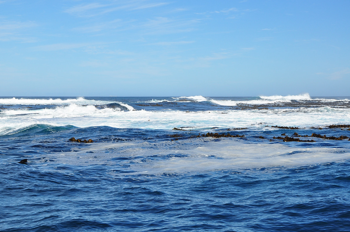南非之旅（四）豪特湾