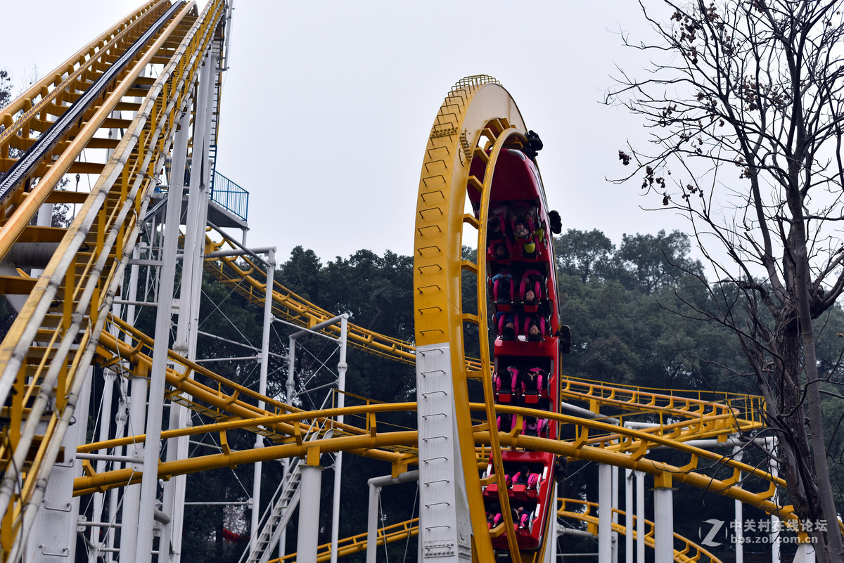 58.14练习.春节公园随拍.