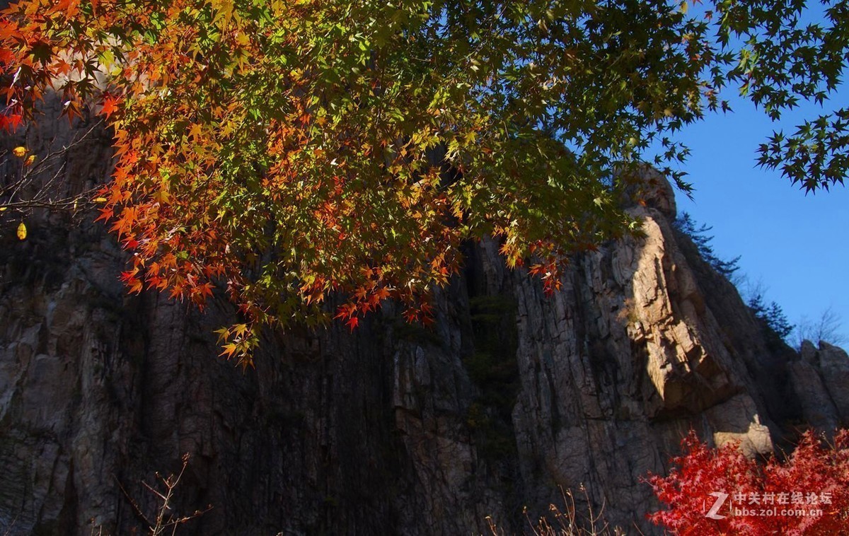 #版主坐堂#2017年11月份《承德》优秀作品选辑