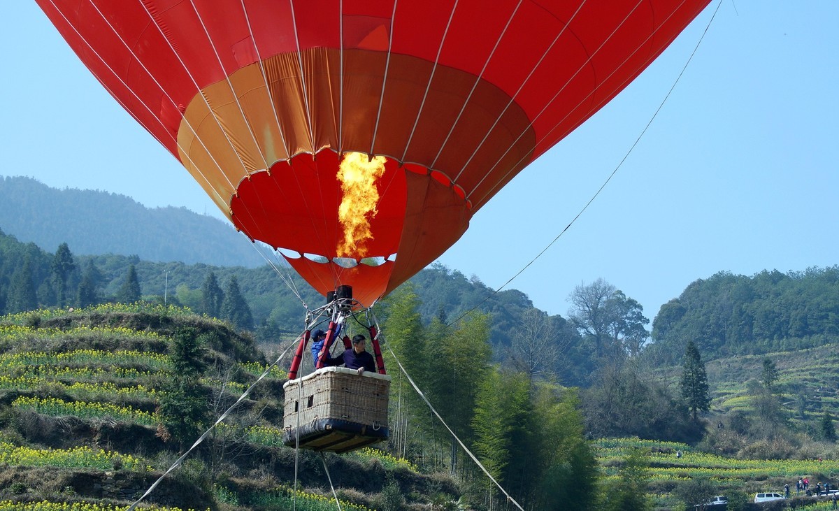 婺 源 江 岭 油 菜 花