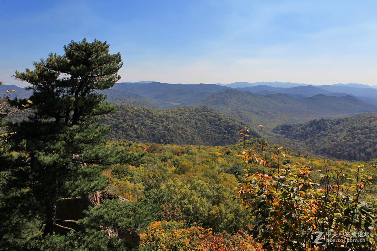 哈尔滨公园游拍金龙山国家森林公园吊水湖景区秋色续