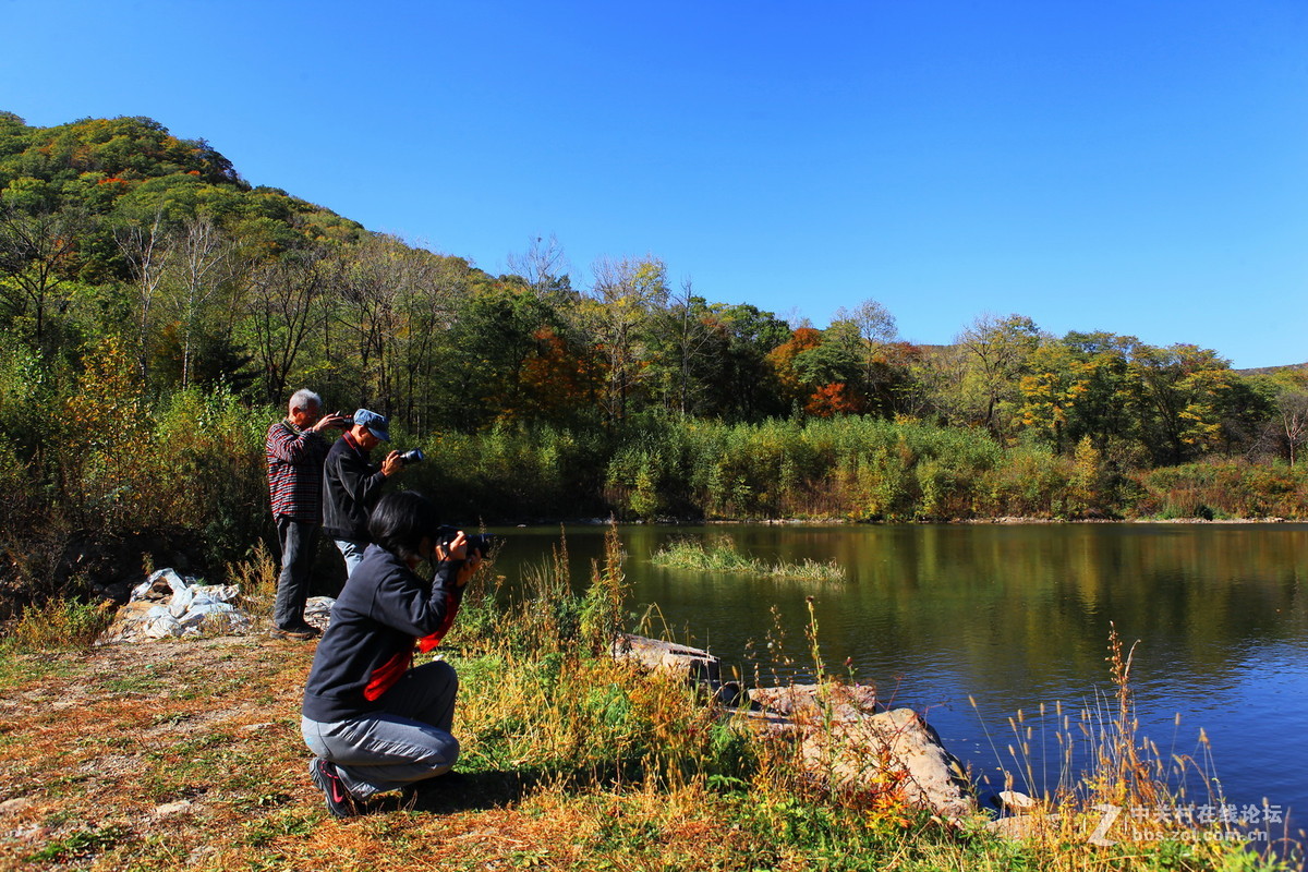 哈爾濱公園遊拍金龍山國家森林公園吊水湖景區秋色續