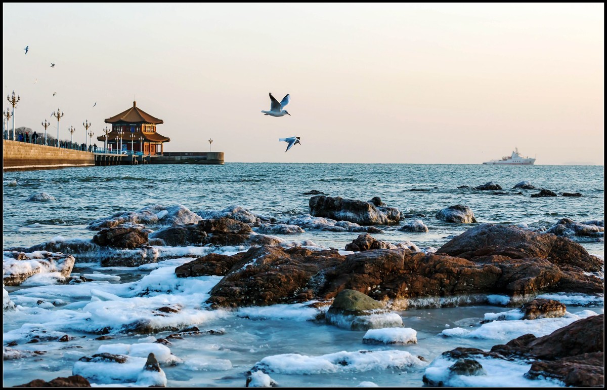 拍海鸥，知冷暖.....