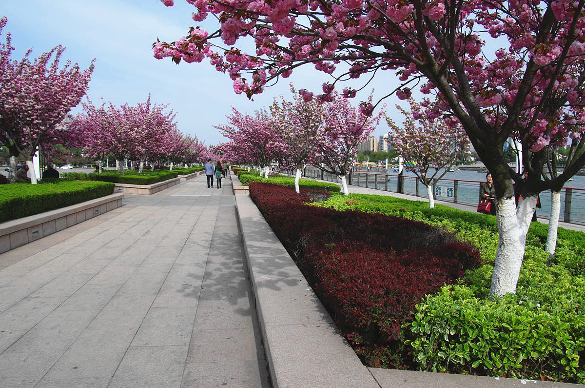 『美好时光-续』贺皓月长弓师友荣任侨乡版主