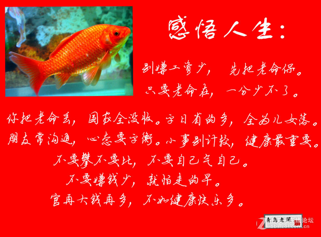 老开感语老年人生