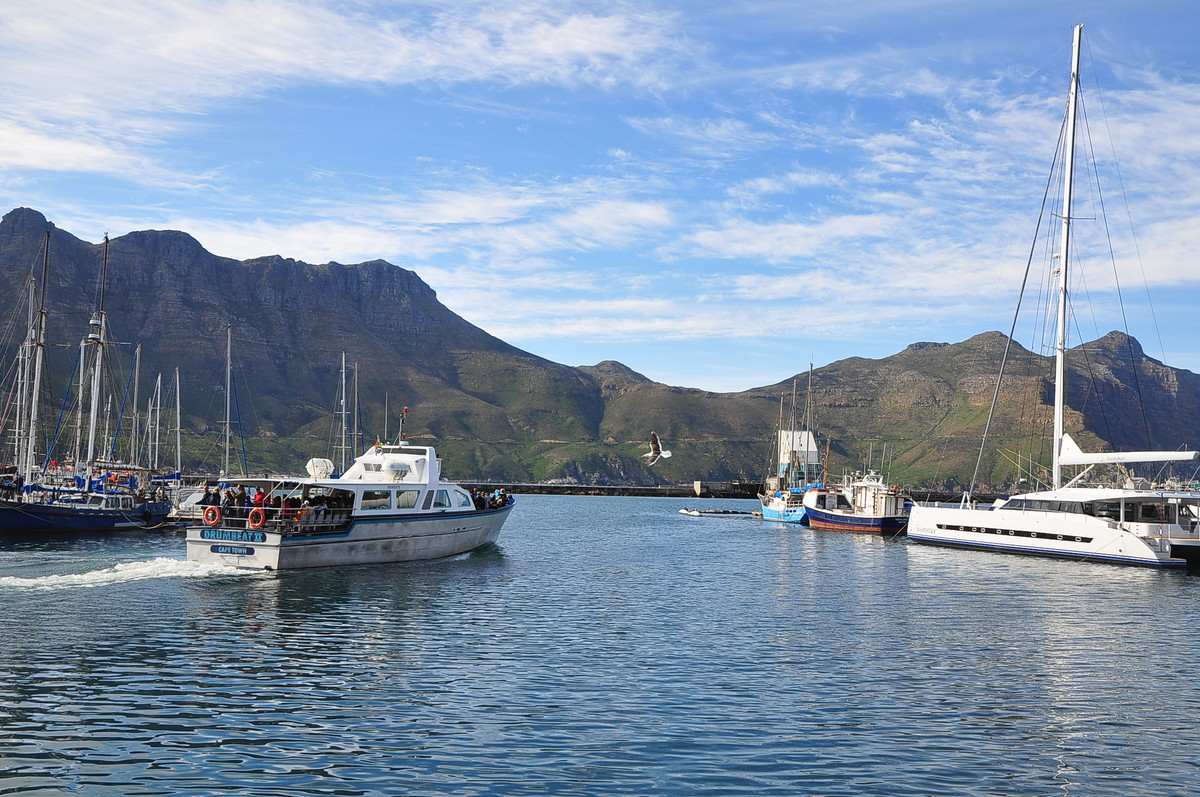 南非之旅（四）豪特湾