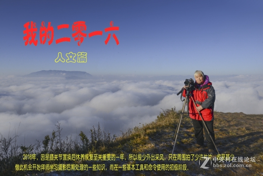 【原创】我的2016·人文篇