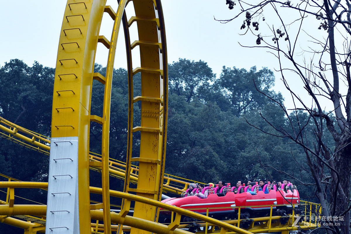 58.14练习.春节公园随拍.