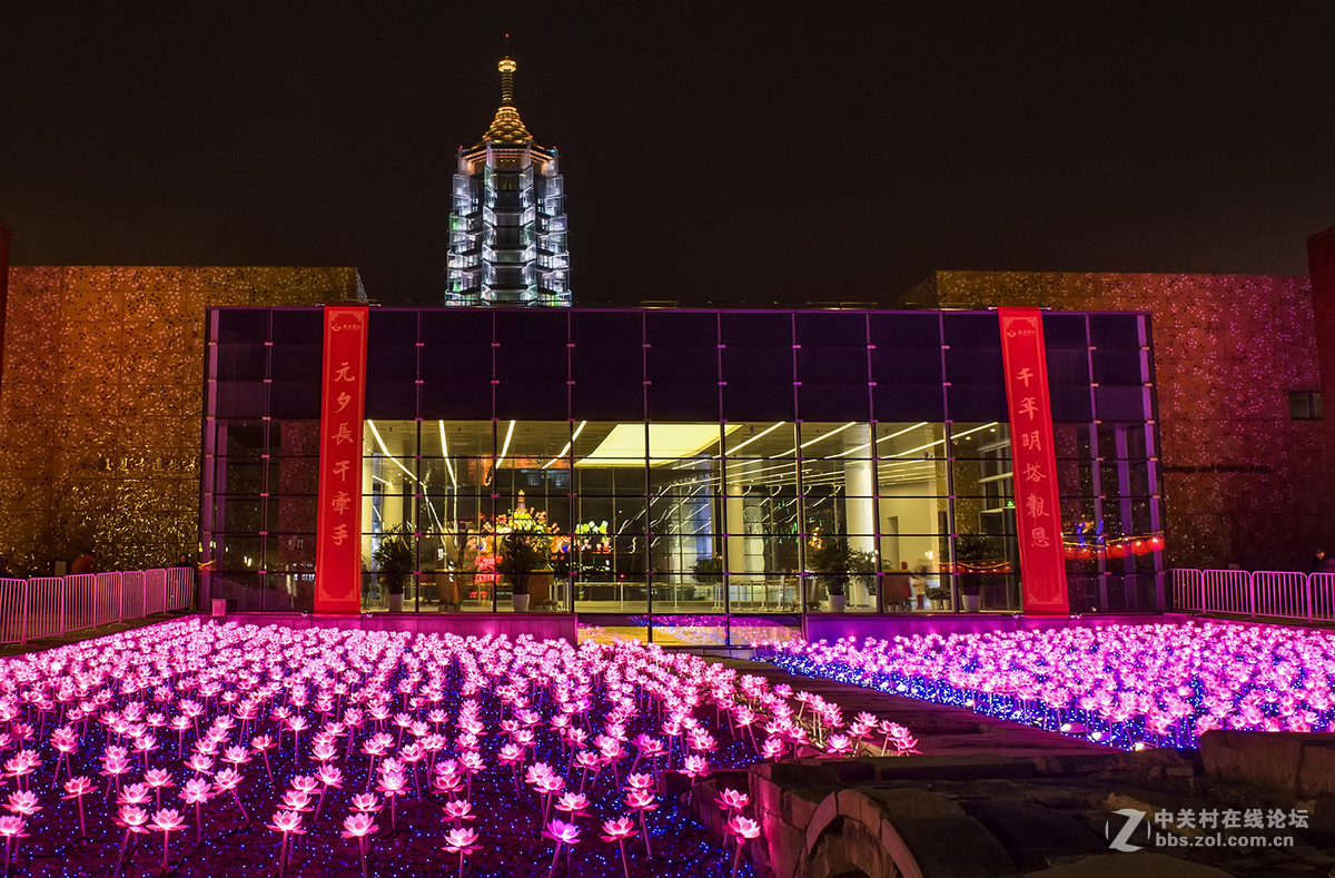 鸡年佳节大报恩寺夜景