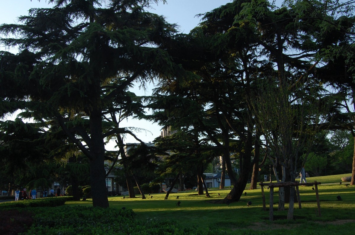 下午天气不错到海边拍几張