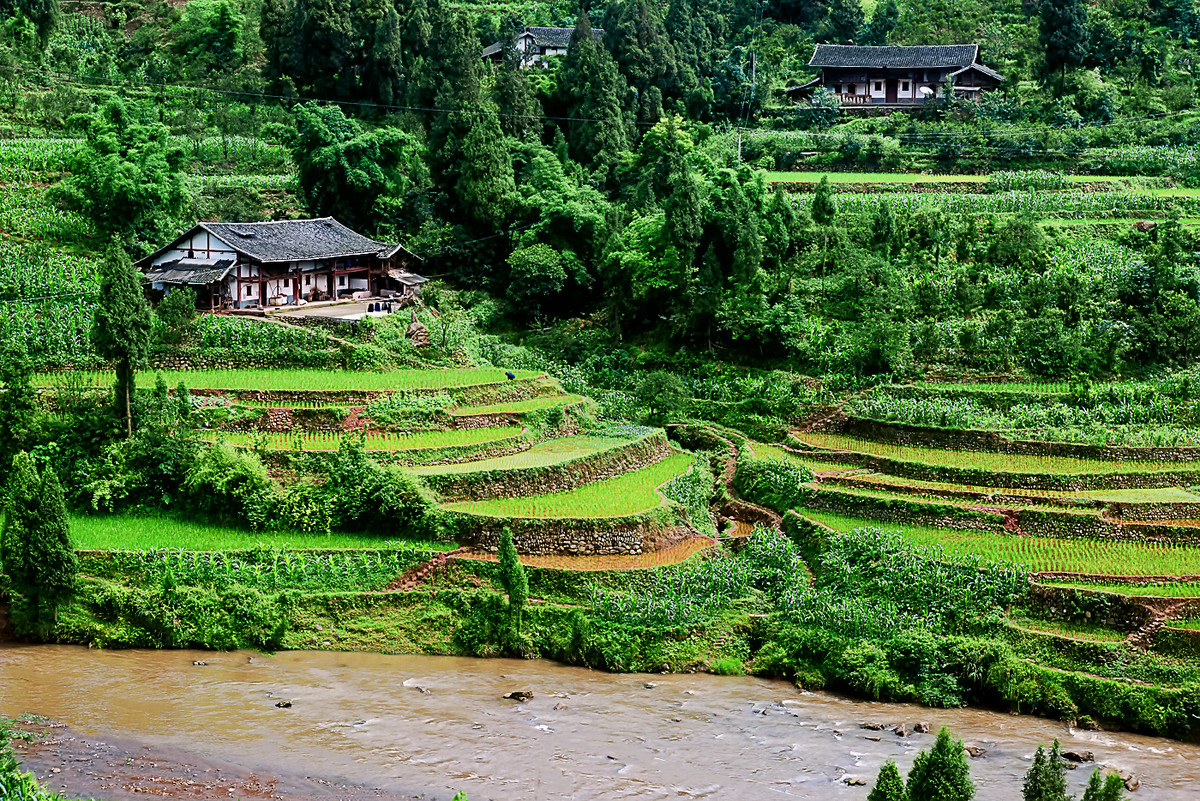 江南行 （90） 《黔北风光》