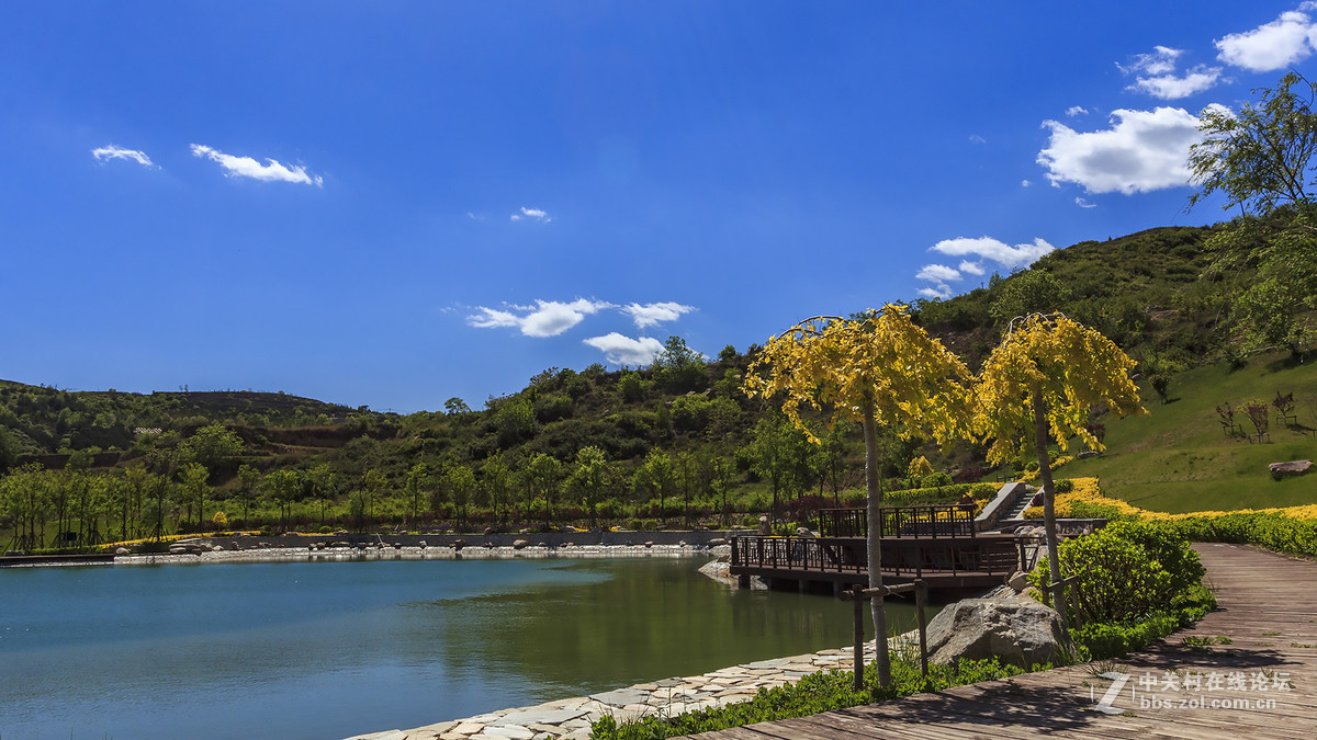 西山国信森林公园随手拍