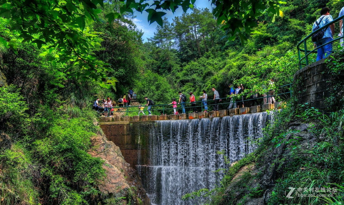桐庐大奇山森林公园