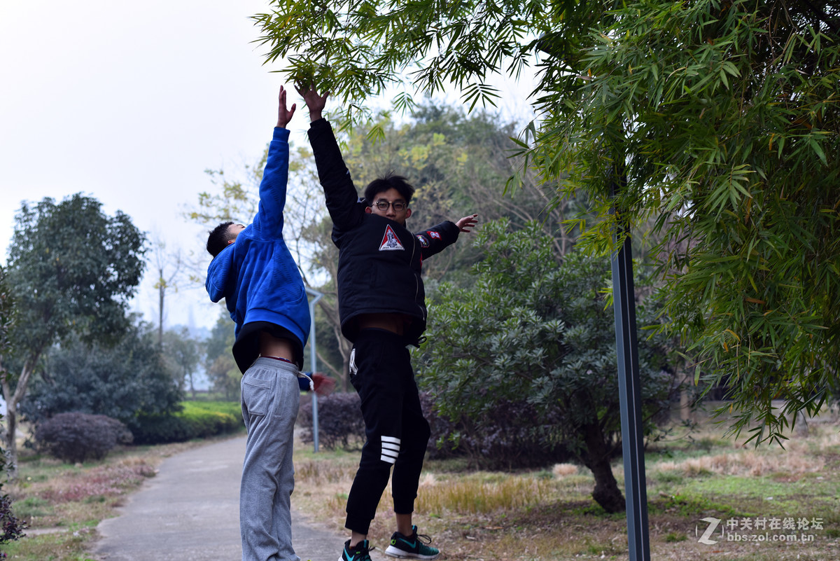 58.14练习.春节公园随拍.