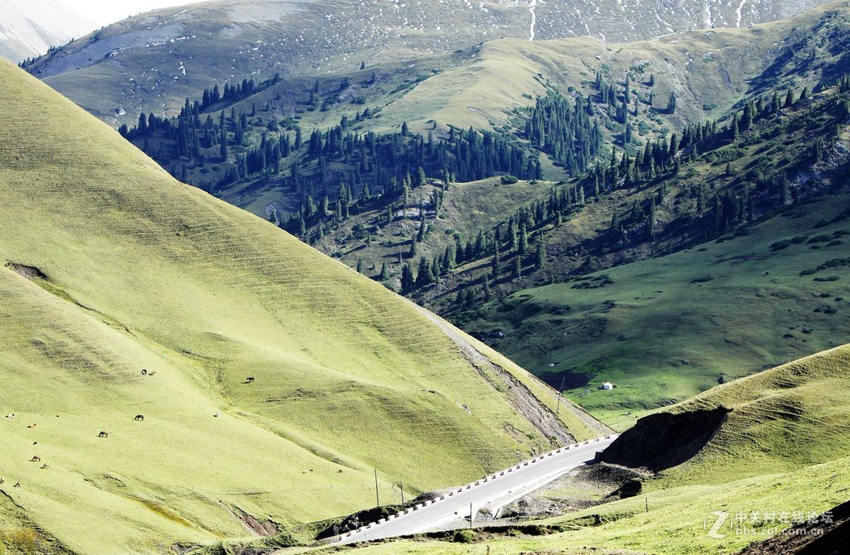 西行漫记 47  伊昭公路