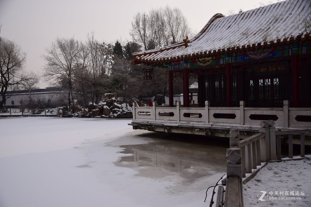 冬至了，来几张属于冬天的小景色！