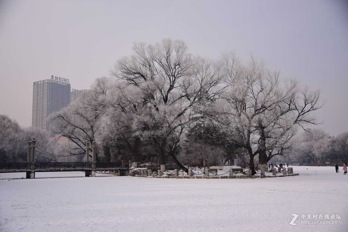 冬至了，来几张属于冬天的小景色！