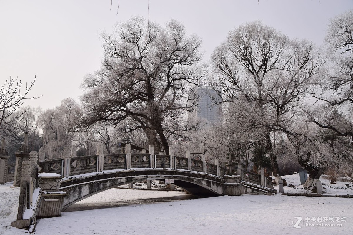 冬至了，来几张属于冬天的小景色！
