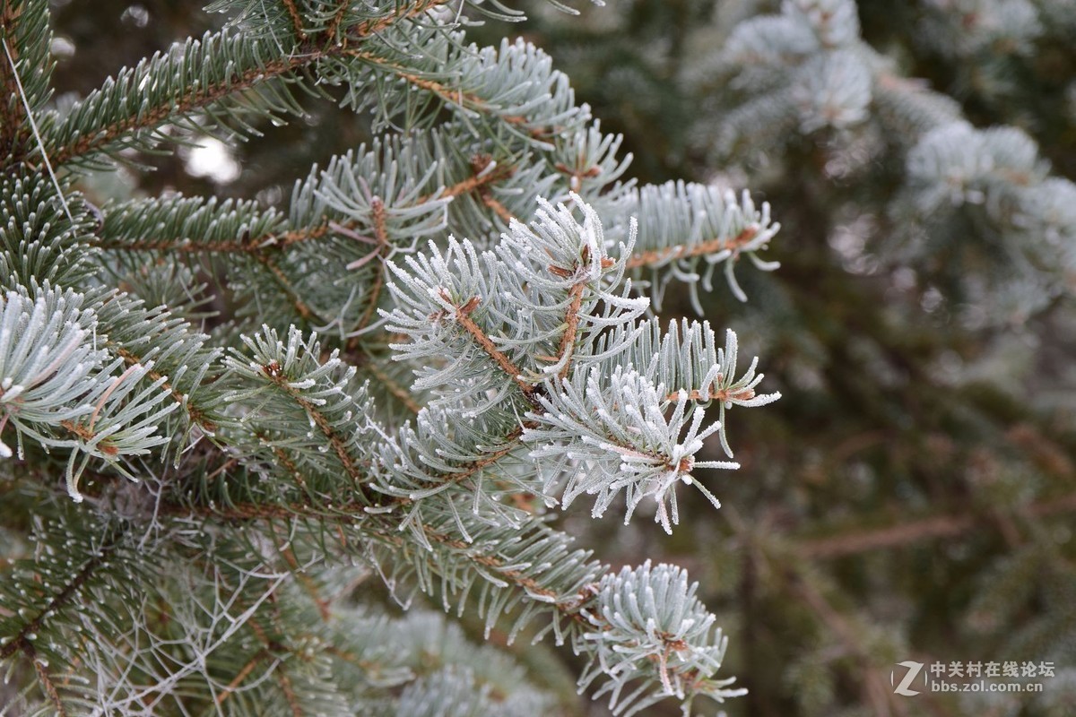 冬至了，来几张属于冬天的小景色！