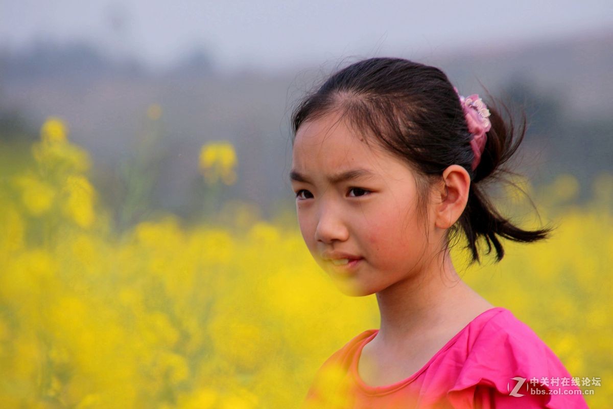 油菜花田小女孩-中关村在线摄影论坛