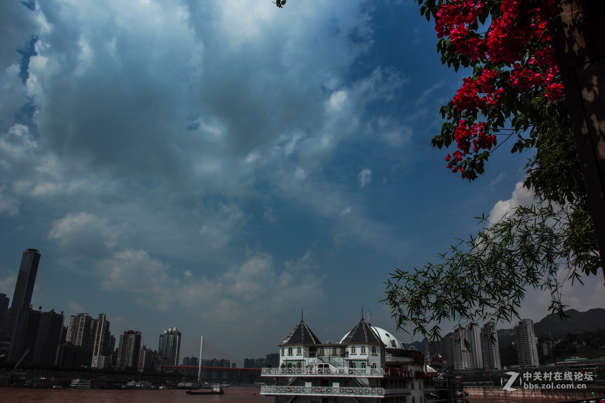 南岸长江边随拍（一）。