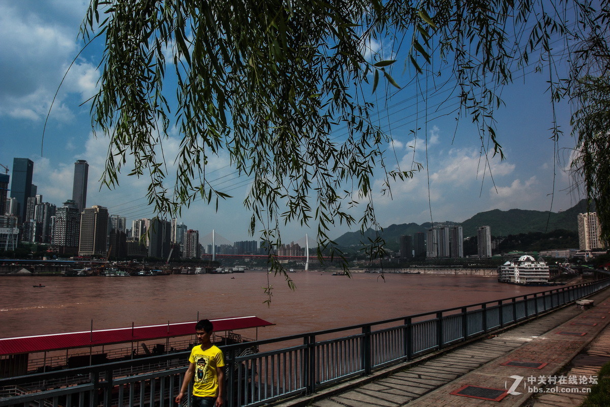 南岸长江边随拍（一）。