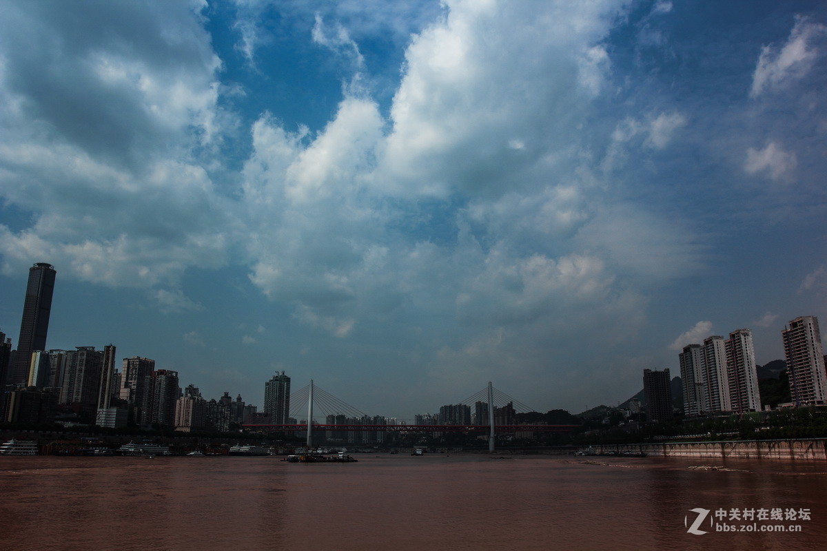 南岸长江边随拍（一）。