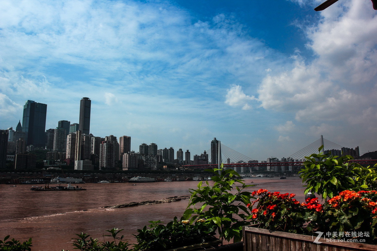 南岸长江边随拍（一）。