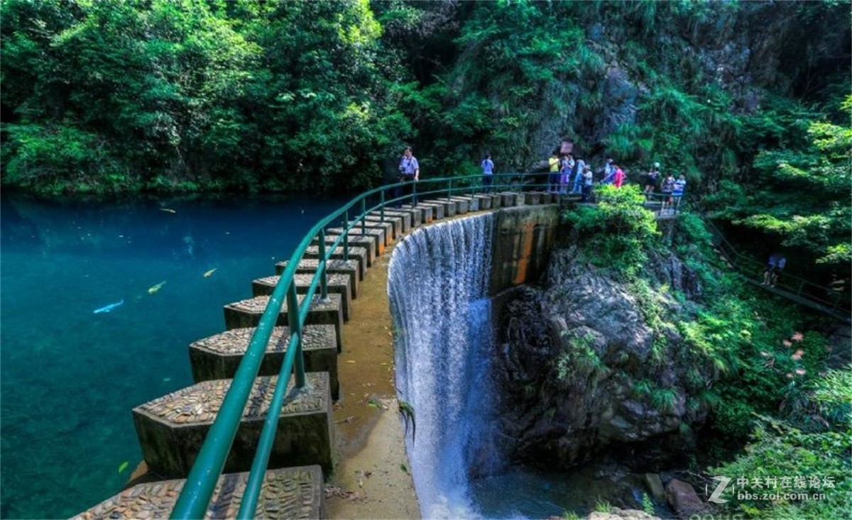 桐庐大奇山森林公园
