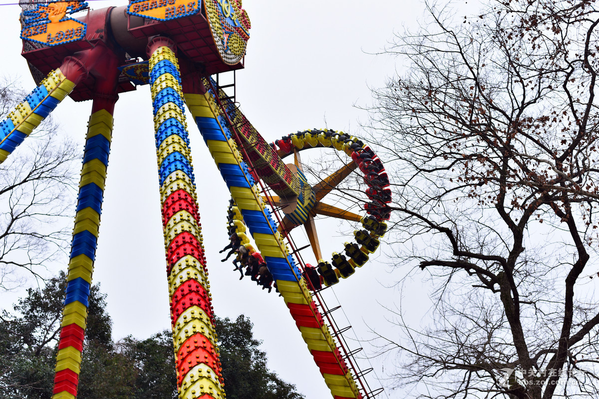 58.14练习.春节公园随拍.