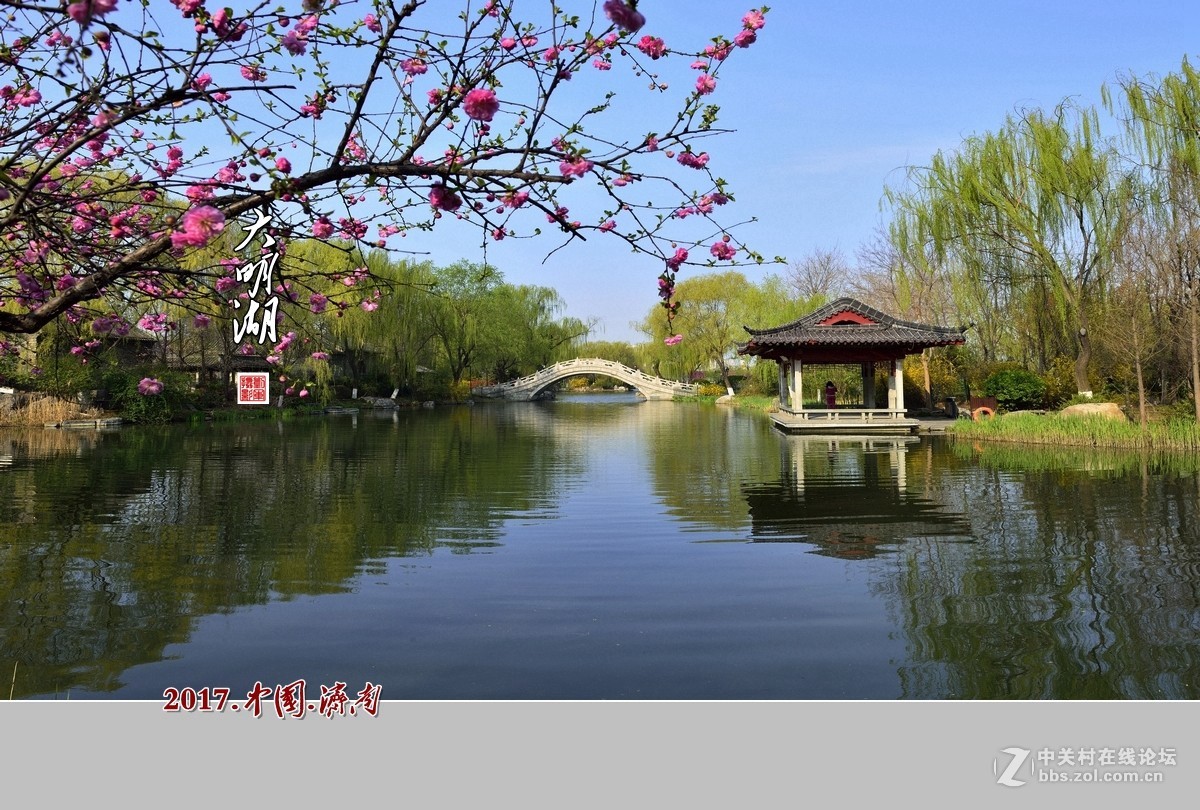 #ZOL月赛-春暖花开#明湖美（1）