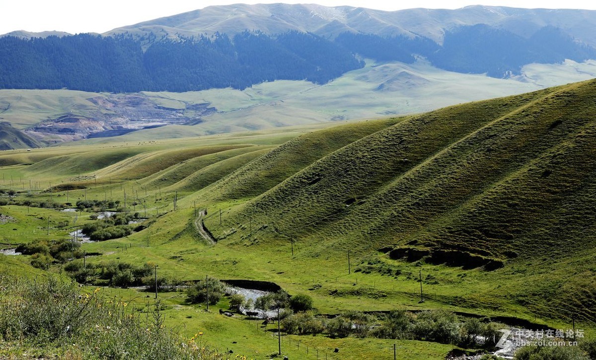 西行漫记 47  伊昭公路